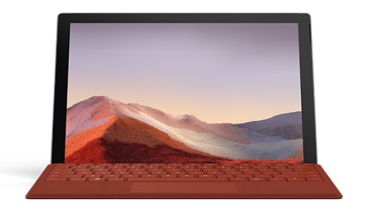 斗门清洁和维护 Surface